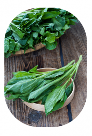 부덕산채농원 부지깽이, 눈개승마, 산마늘 1kg